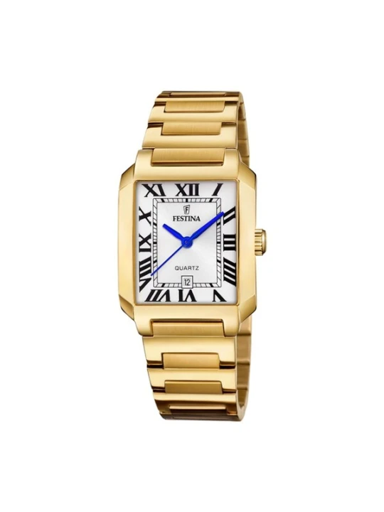 Obrázek produktu FESTINA Analogové hodinky 'Date watch Chrono Sport' stříbrná