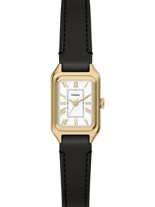 Obrázek produktu Fossil hodinky dámské Raquel Mini zlatá