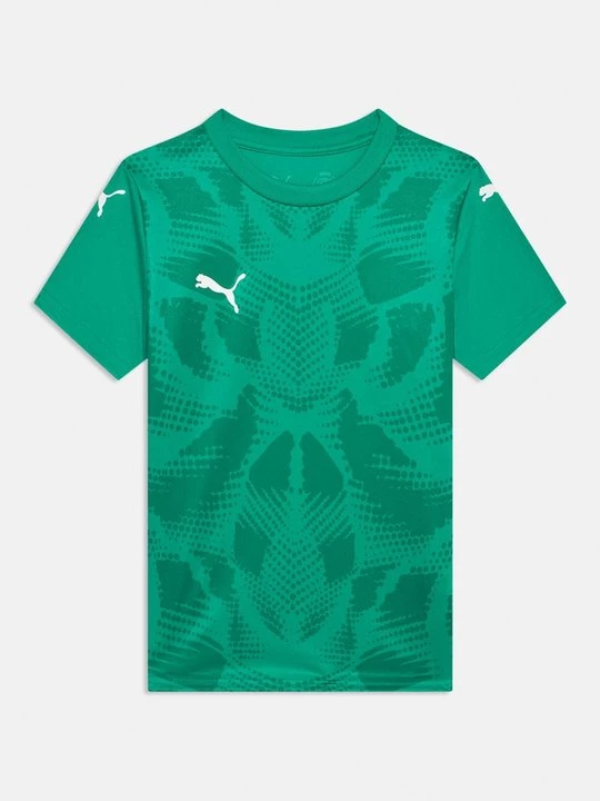 Obrázek produktu Fotbalový dres Puma zelená
