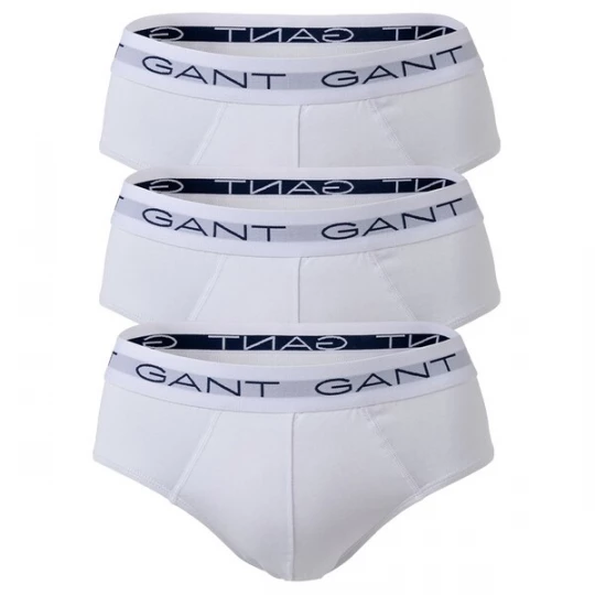 Obrázek produktu GANT Slipy bílá