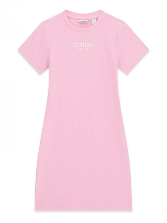 Obrázek produktu Guess Každodenní šaty J5YK11 KBZP4 Růžová Regular Fit