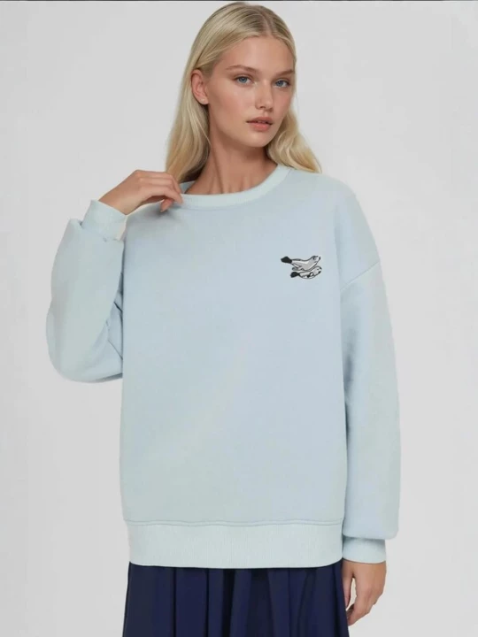 Obrázek produktu Hiccup Mikina 'Sweatshirts' pastelová modrá
