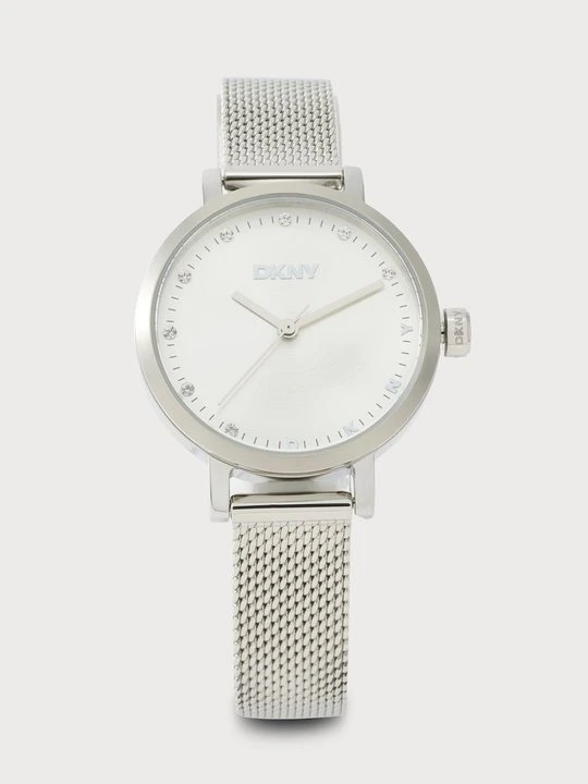 Obrázek produktu Hodinky DKNY stříbrná