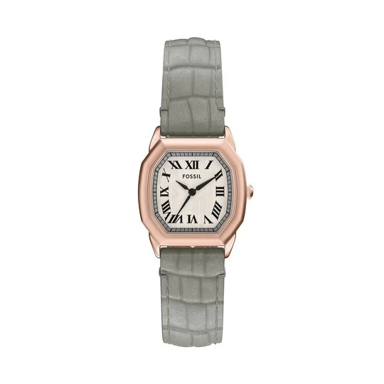 Obrázek produktu Hodinky Fossil Harlow ES5435 Šedá