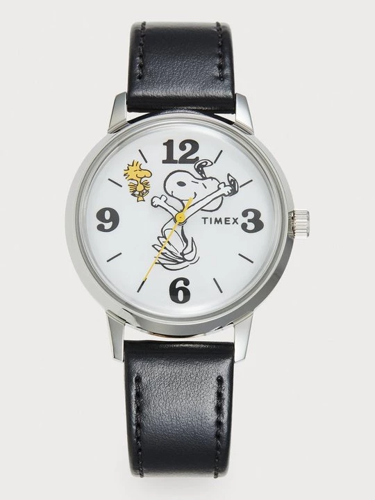 Obrázek produktu Hodinky Timex