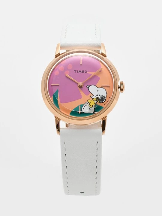 Obrázek produktu Hodinky Timex
