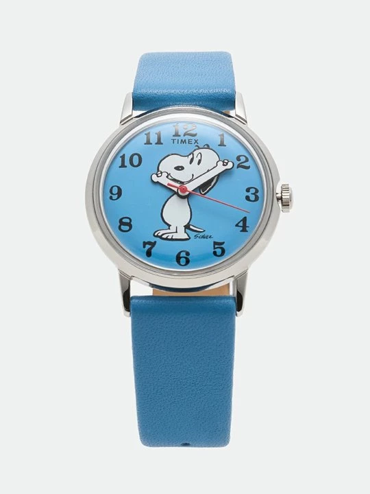 Obrázek produktu Hodinky Timex modrá