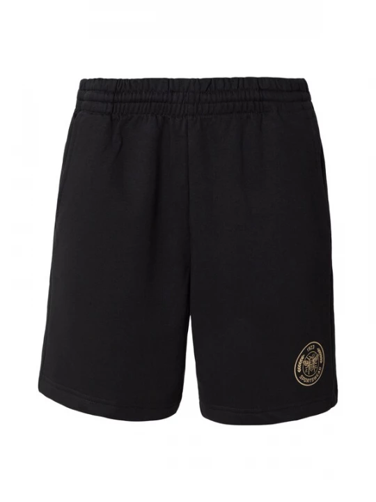 Obrázek produktu Hummel Sportovní kalhoty 'SWARM' režná / černá