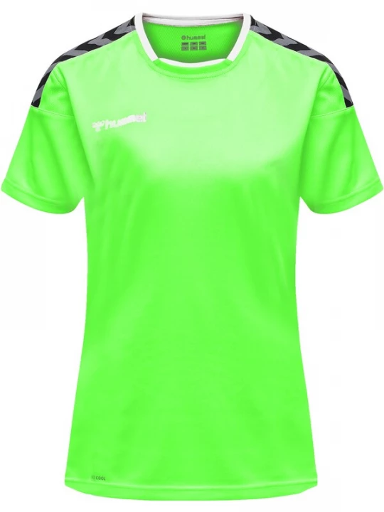 Obrázek produktu Hummel Trikot 'Authentic'  antracitová / zelená / svítivě zelená / černá