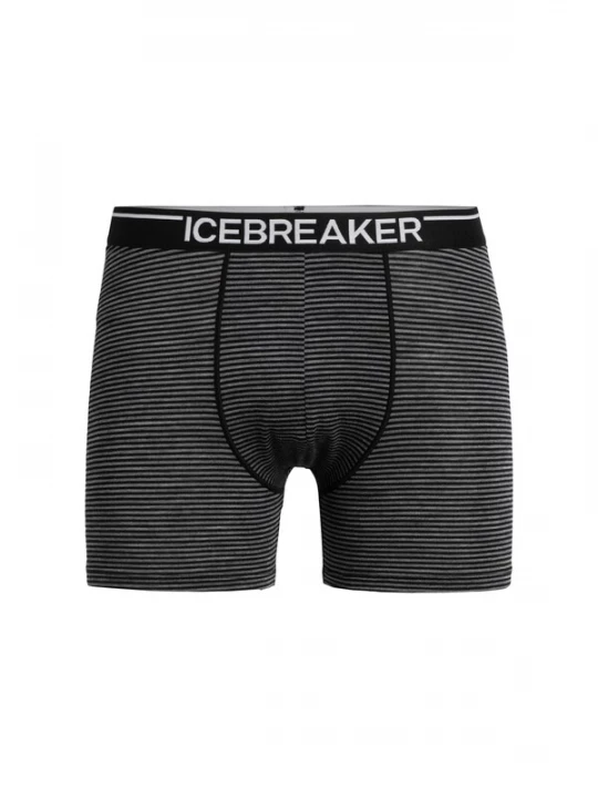 Obrázek produktu ICEBREAKER Sportovní spodní prádlo 'Anatomica'  šedá