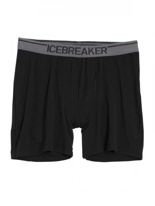 Obrázek produktu ICEBREAKER Sportovní spodní prádlo 'Anatomica'  tmavě šedá / černá