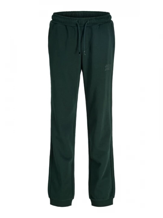 Obrázek produktu Jack & Jones Junior Kalhoty 'JJIGORDON' jedle