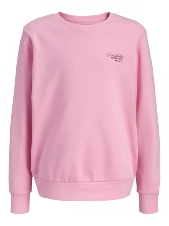 Obrázek produktu Jack & Jones Junior Mikina 'Roar' růže / černá