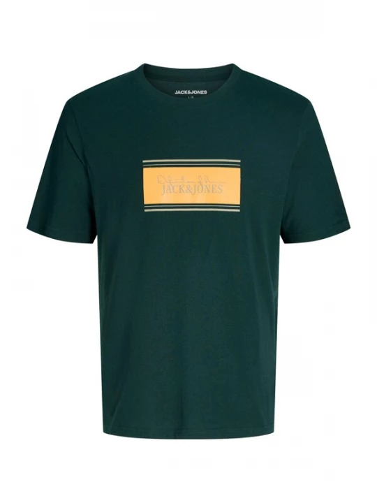 Obrázek produktu Jack & Jones Junior Tričko 'JJBUSTER' šedobéžová / tmavě zelená / jasně oranžová