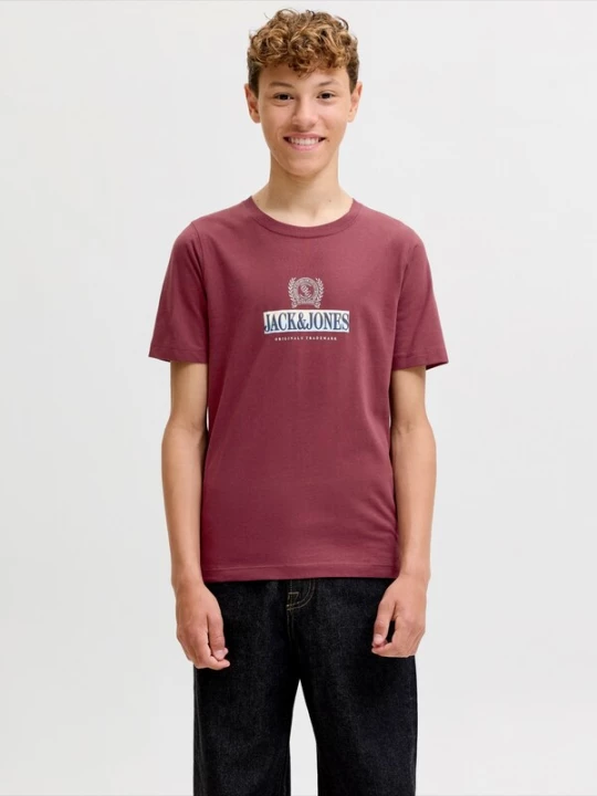 Obrázek produktu Jack & Jones Junior Tričko 'JORFREDERIKSBERG' námořnická modř / kaštanově hnědá / červená / bílá