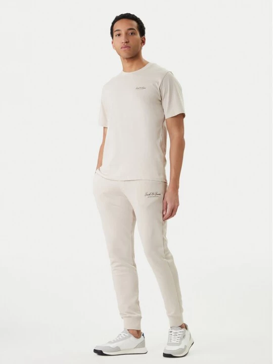 Obrázek produktu Jack & Jones T-Shirt Earchive 12297641 Béžová Regular Fit