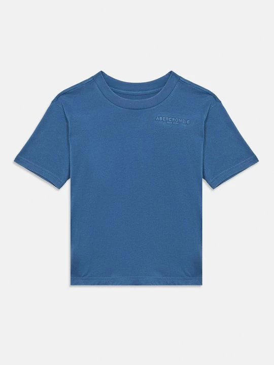 Obrázek produktu Jednoduché tričko Abercrombie & Fitch modrá