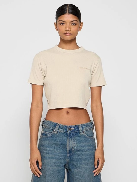 Obrázek produktu Jednoduché tričko Dickies