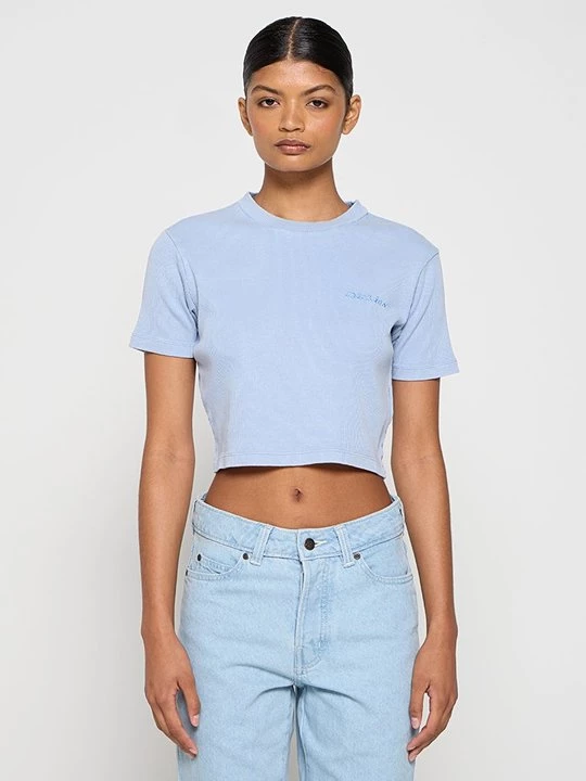 Obrázek produktu Jednoduché tričko Dickies modrá