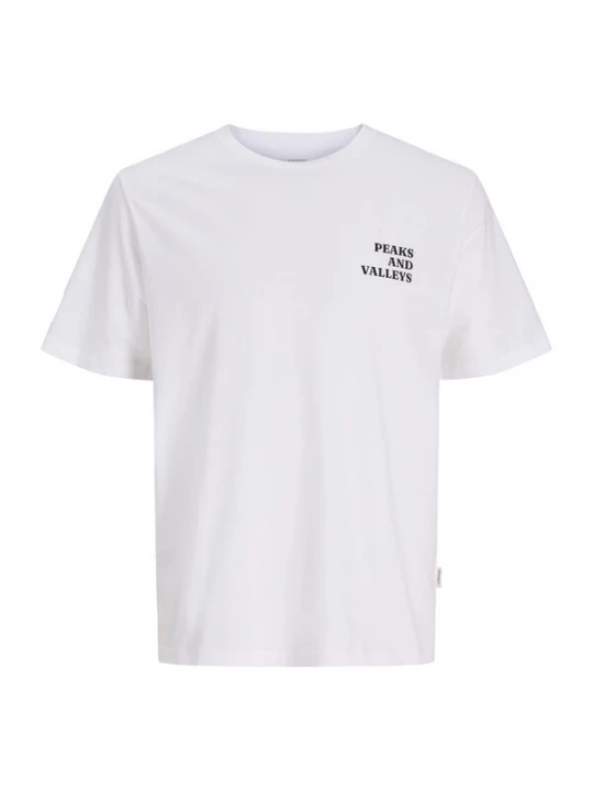 Obrázek produktu JJ Rebel Tričko 'JREBJENNER' světlemodrá / melounová / černá / bílá