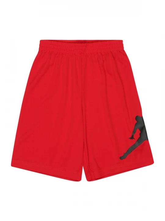 Obrázek produktu Jordan Kalhoty  červená / černá