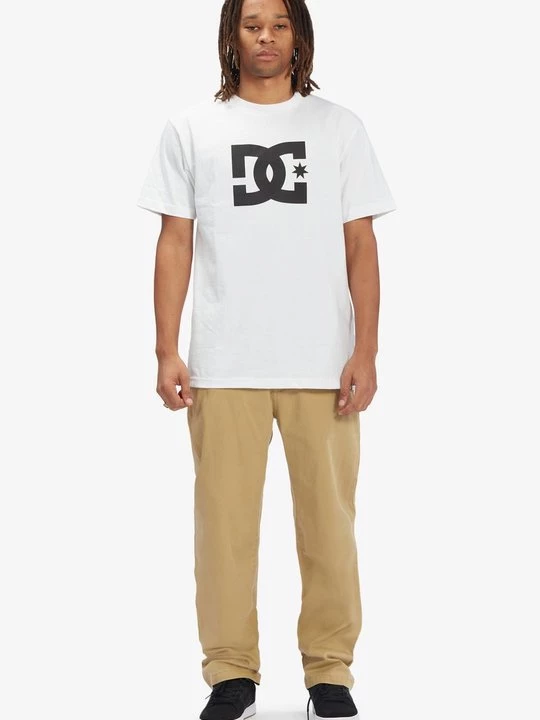 Obrázek produktu Kalhoty DC Shoes béžová
