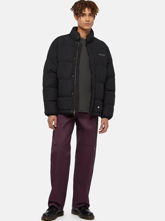 Obrázek produktu Kalhoty Dickies