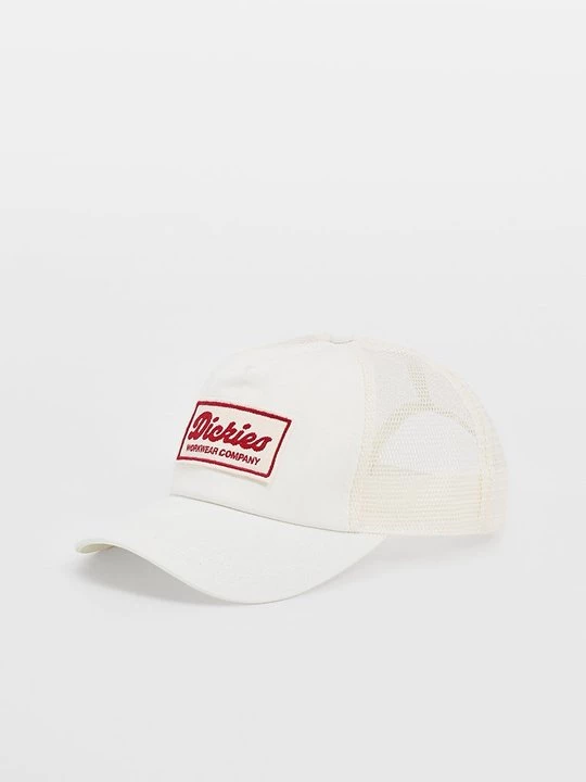 Obrázek produktu Kšiltovka Dickies