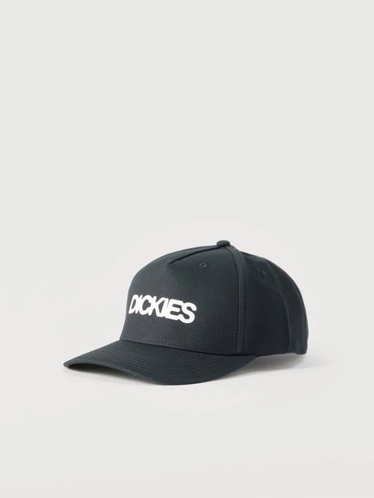Obrázek produktu Kšiltovka Dickies černá
