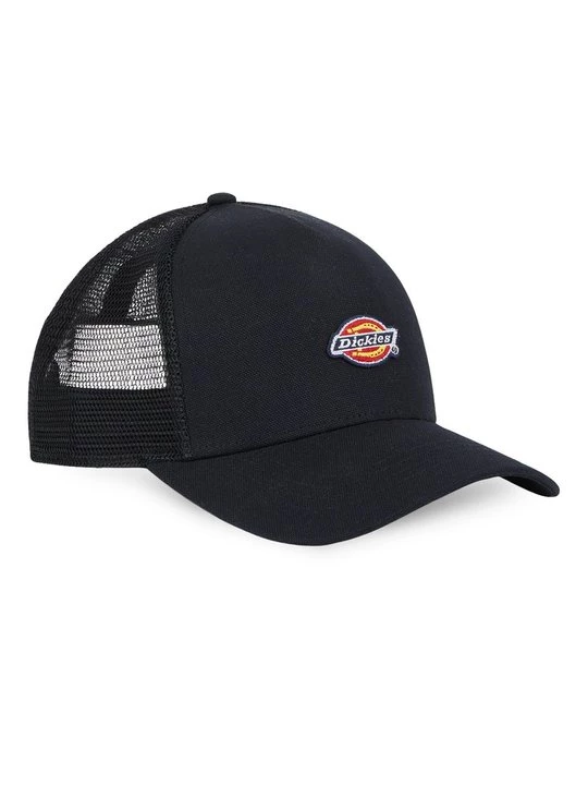 Obrázek produktu Kšiltovka Dickies černá