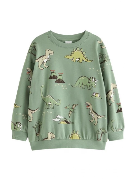 Obrázek produktu Lindex Mikina 'Dino' tmavě hnědá / khaki / mátová / bílá