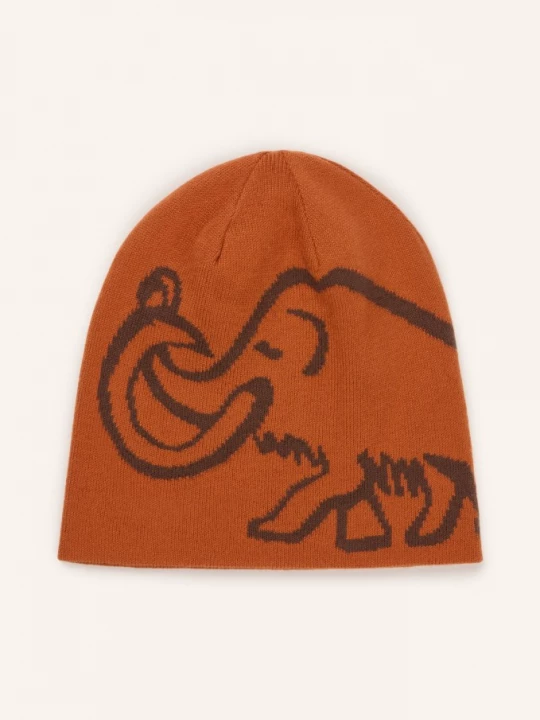 Obrázek produktu Mammut Obratná Čepice hnědá / tmavě šedá