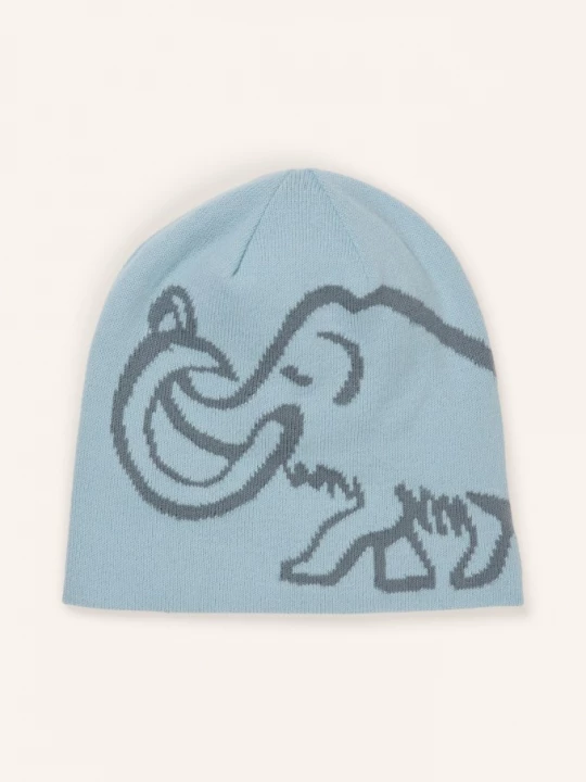 Obrázek produktu Mammut Obratná Čepice tmavě modrá / šedá
