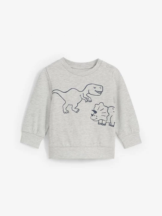 Obrázek produktu Měkká mikina z organické bavlny, s potiskem dinosaurů BonPrix