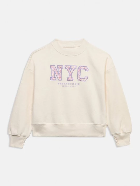 Obrázek produktu Mikina Abercrombie & Fitch