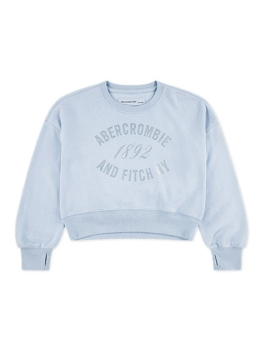 Obrázek produktu Mikina Abercrombie & Fitch světle modrá