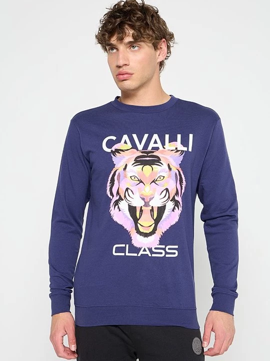 Obrázek produktu Mikina Cavalli Class
