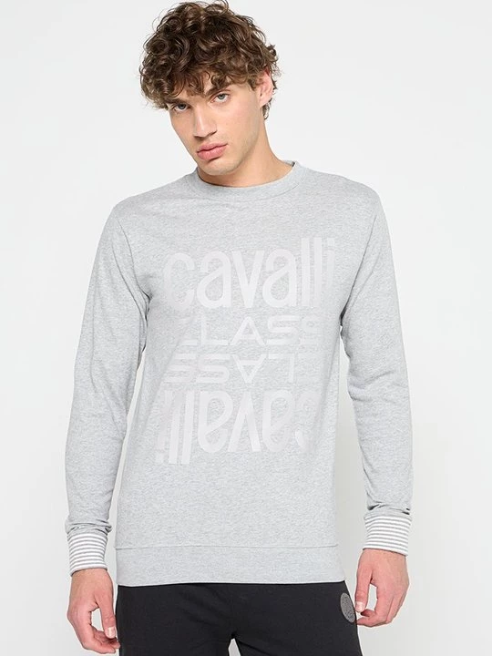 Obrázek produktu Mikina Cavalli Class