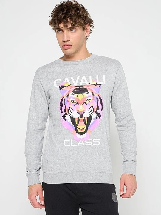 Obrázek produktu Mikina Cavalli Class