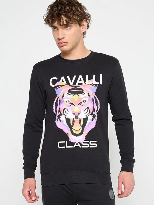 Obrázek produktu Mikina Cavalli Class