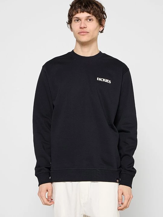 Obrázek produktu Mikina Dickies