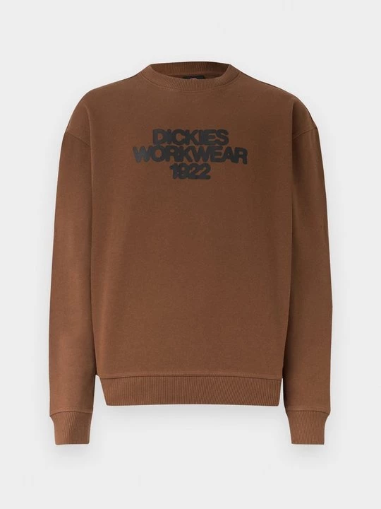 Obrázek produktu Mikina Dickies