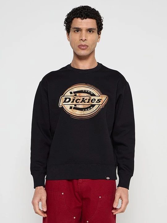 Obrázek produktu Mikina Dickies černá