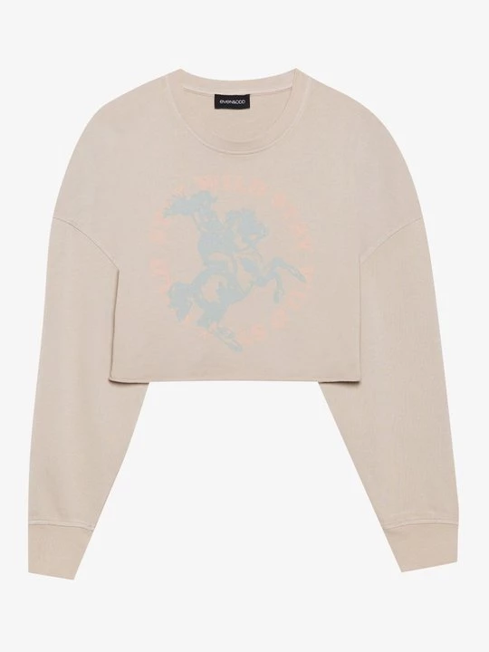 Obrázek produktu Mikina Even&Odd By Zalando