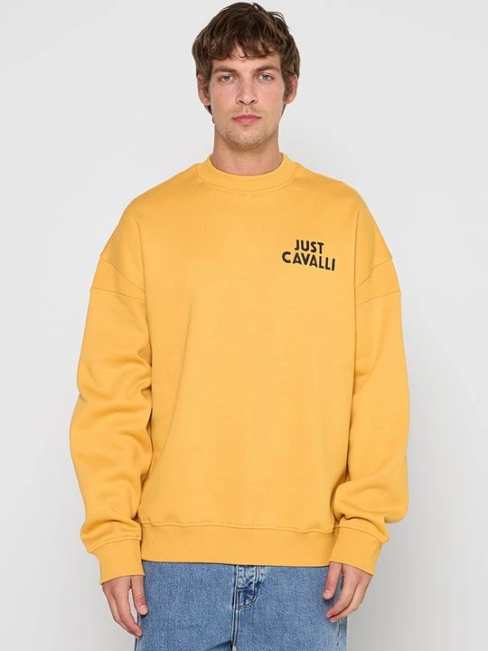 Obrázek produktu Mikina Just Cavalli
