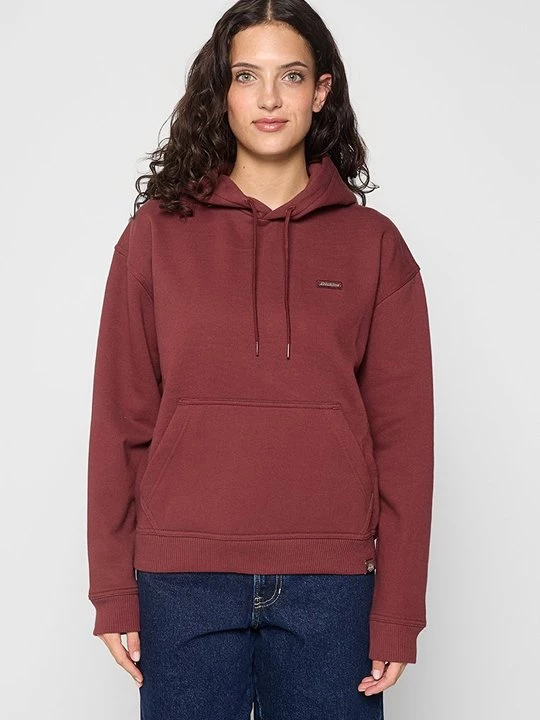 Obrázek produktu Mikina s kapucí Dickies