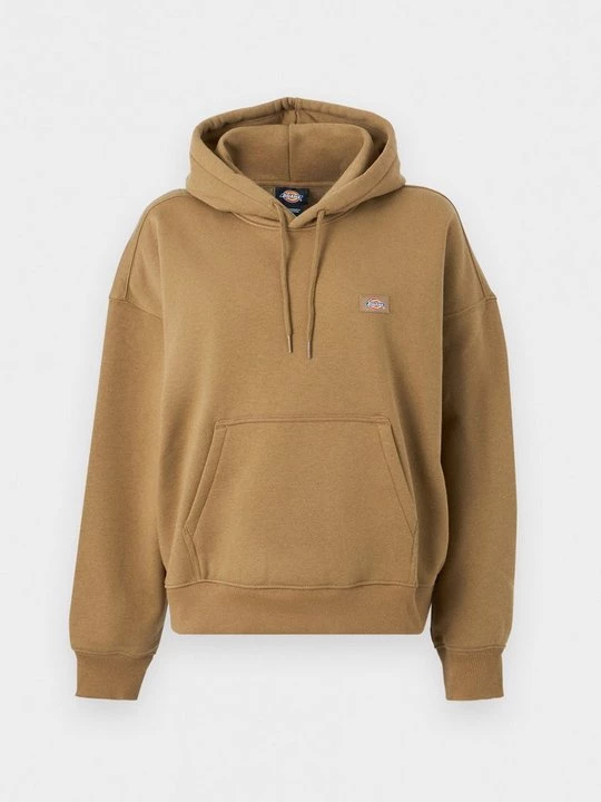 Obrázek produktu Mikina s kapucí Dickies