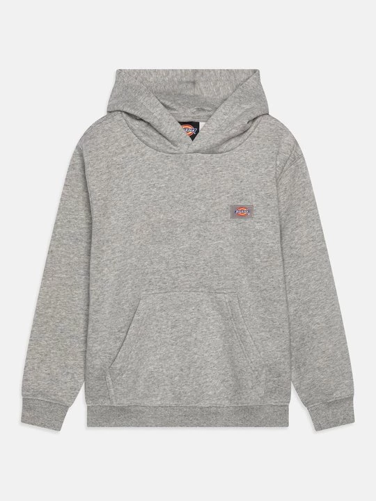 Obrázek produktu Mikina s kapucí Dickies
