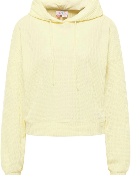 Obrázek produktu Mikina s kapucí IZIA