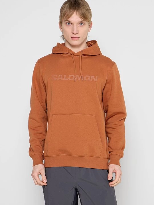 Obrázek produktu Mikina s kapucí Salomon světlehnědá